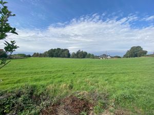 Photo 19- click for photo gallery